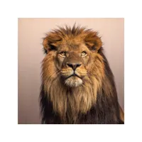 tableau sur verre roi de la jungle 45x45 cm 636903