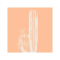 tableau sur verre cactus bohême 45x45 cm 642579