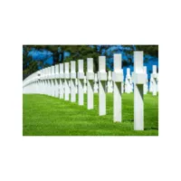 tableau sur verre synthétique croix cimetière us 65x97 cm 640966