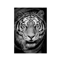 tableau sur verre tigre en noir et blanc 45x65 cm 642850