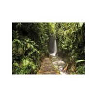 tableau sur verre forêt tropicale 45x65 cm 636626