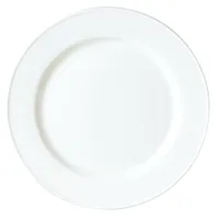 lot de 24 assiettes en porcelaine blanche d 25,5 cm